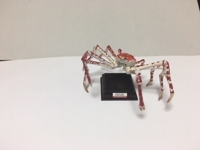 ネイチャーテクニカラー 海遊館ミュージアム タカアシガニ NATURE TECHNI COLOUR 奇譚クラブ キタンクラブ いきもん 海洋堂 フィギュア(生き物)|売買されたオークション情報、Yahoo!オークション(旧ヤフオク!) の商品情報をアーカイブ公開 - オークファン(aucfan.com) ネイチャーテクニカラー 海遊館ミュージアム タカアシガニ NATURE TECHNI COLOUR 奇譚クラブ キタンクラブ いきもん 海洋堂 フィギュア(生き物)|売買されたオークション情報、Yahoo!オークション(旧ヤフオク!) の商品情報をアーカイブ公開 - オークファン(aucfan.com)