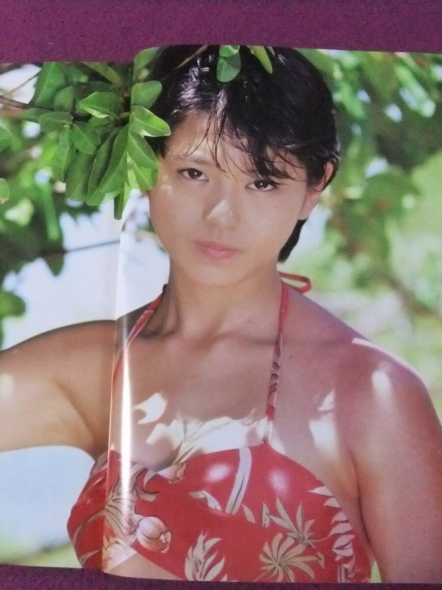 ☆B660/☆『水着写真集』☆/小泉今日子「小泉今日子写真集 ☆B660/☆『水着写真集』☆/小泉今日子「小泉今日子写真集