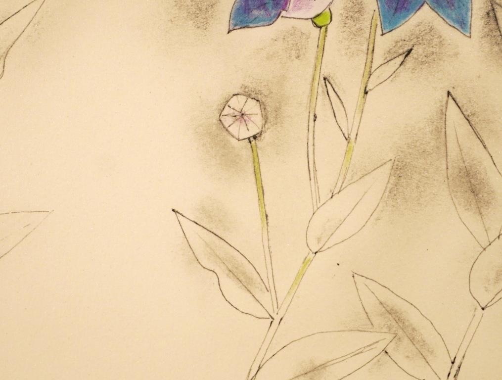 【専用】上村松篁「桔梗」【作家直筆サイン】【送料無料】 Yahoo!オークション - 上村松篁『桔梗』 リトグラフ 落款・直筆