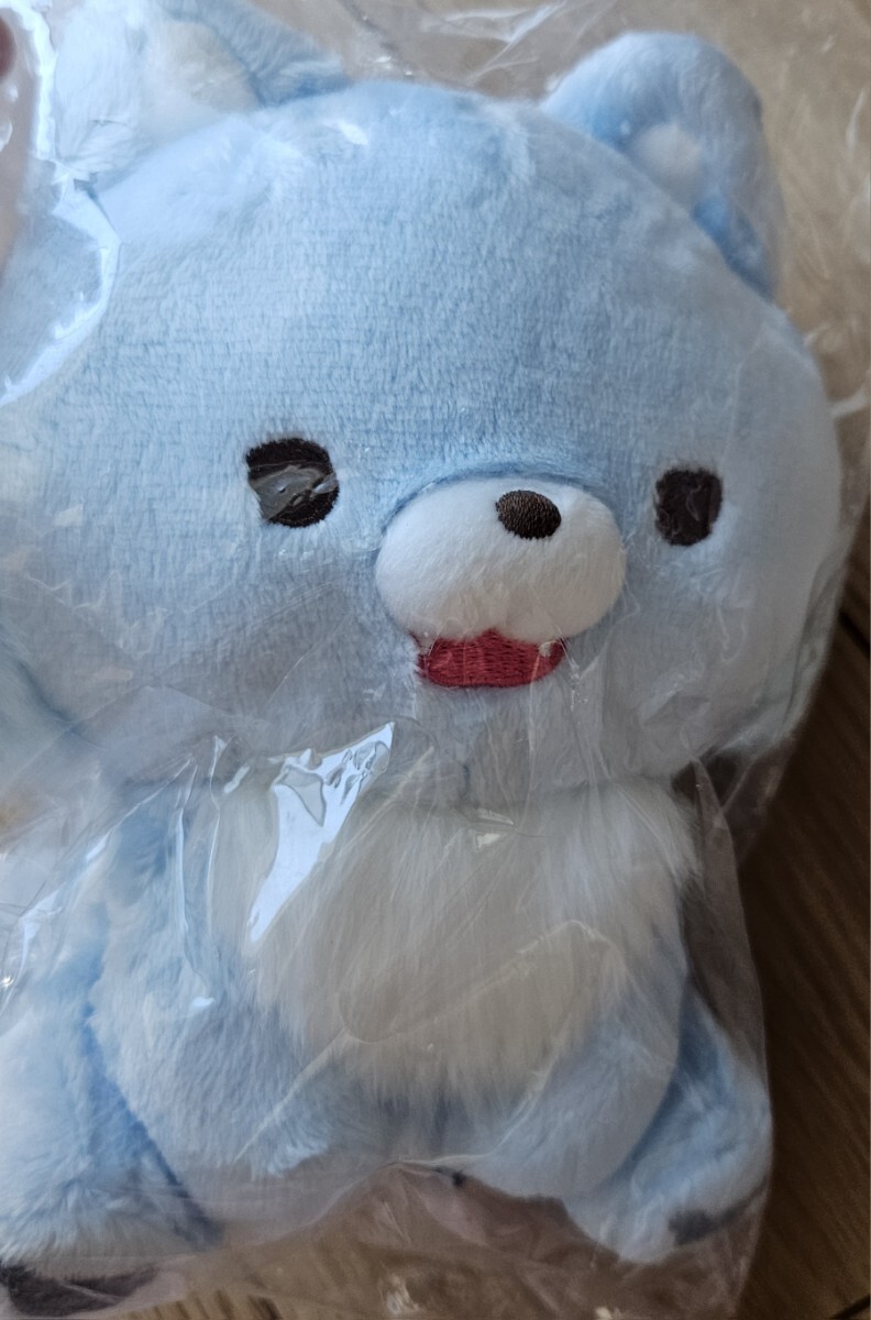 ♪リラックマ2024アオコグのおとまりぬいぐるみ♪アオイコオオカミ♪