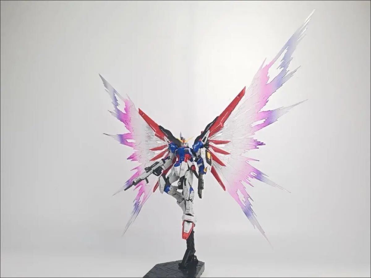 RG 1/144 ディスティニーガンダム&デスティニーインパルス用光の RG 1/144 ディスティニーガンダム&デスティニーインパルス用光の