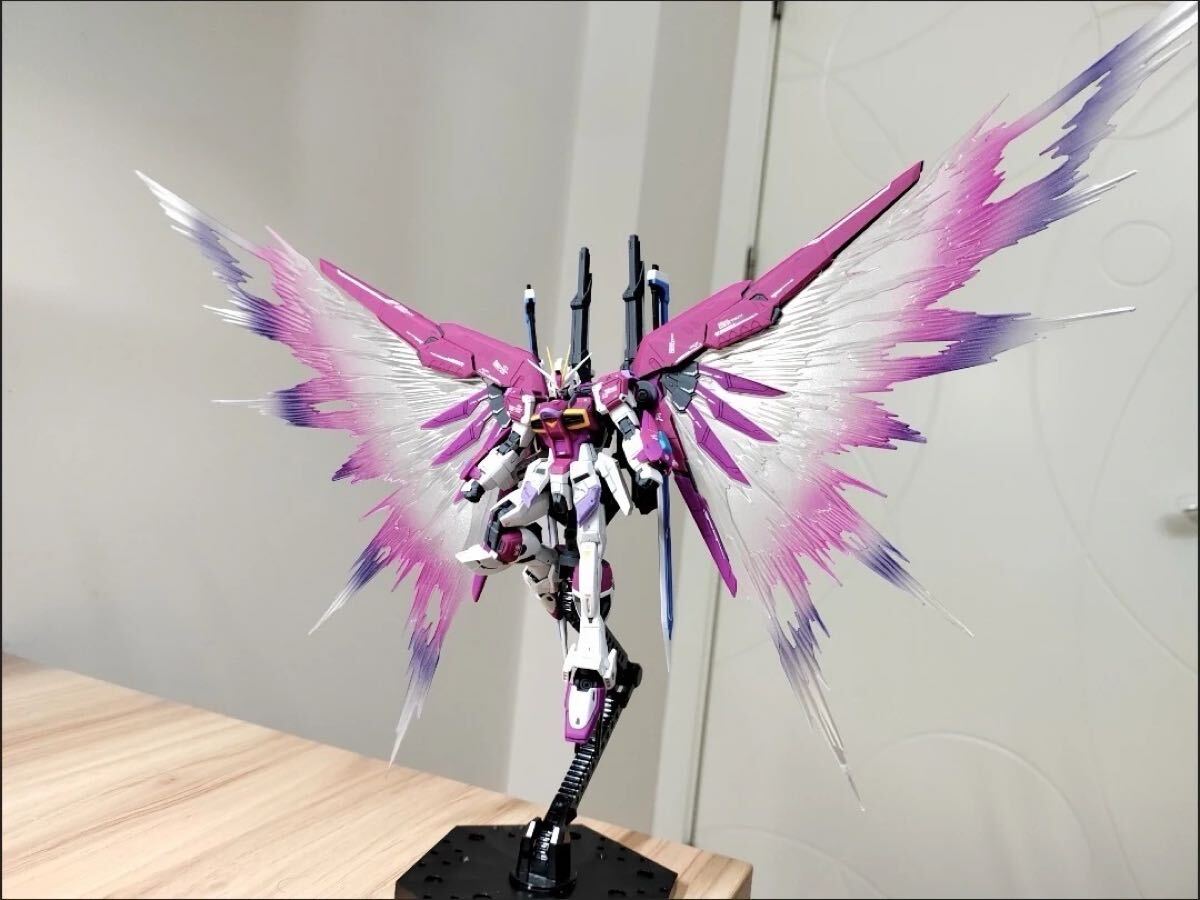 RG 1/144 ディスティニーガンダム&デスティニーインパルス用光の RG 1/144 ディスティニーガンダム&デスティニーインパルス用光の