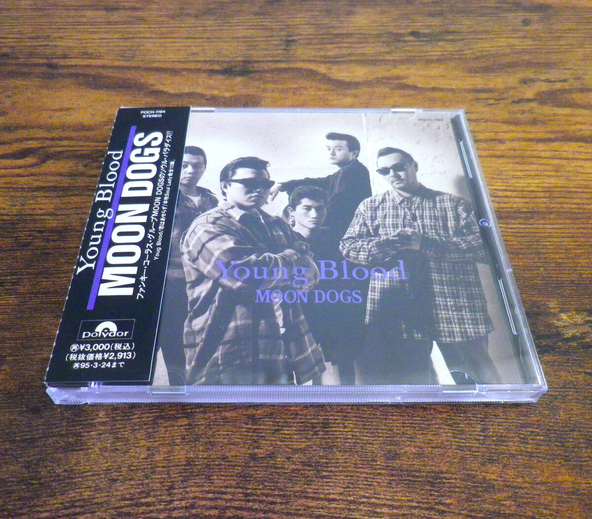 MOON DOGS YOUNG BLOOD 帯付 CD ムーンドッグス 50's ロカビリー シャネルズ RATS & STAR 横山剣 COOLS クリームソーダ MOONEYES RAT FINK