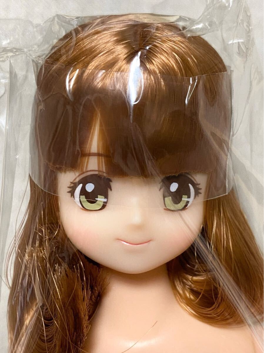 アイドール★AGリリアン★リカちゃんキャッスル おたのしみドールesc ジェニーフレンド 27cm 奈々子 サヤカ シオン みらい サユリ たまき
