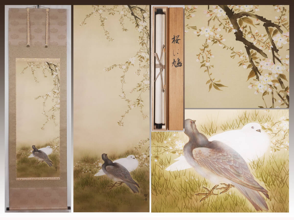 【良品】春用掛軸 桜 さくら◆絹本 肉筆 共箱付 日本画 美術品 花鳥 掛軸 真作】良品☆【桜に鳩 さくらにはと】美術年鑑掲載 杉浦契