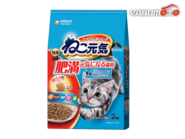 ねこ元気 肥満が気になる猫用 まぐろ かつお 白身魚 チキン 緑黄色野菜入り 2.0kg とびつく おいしさ_画像1