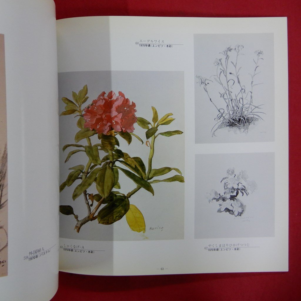 item_image_10
