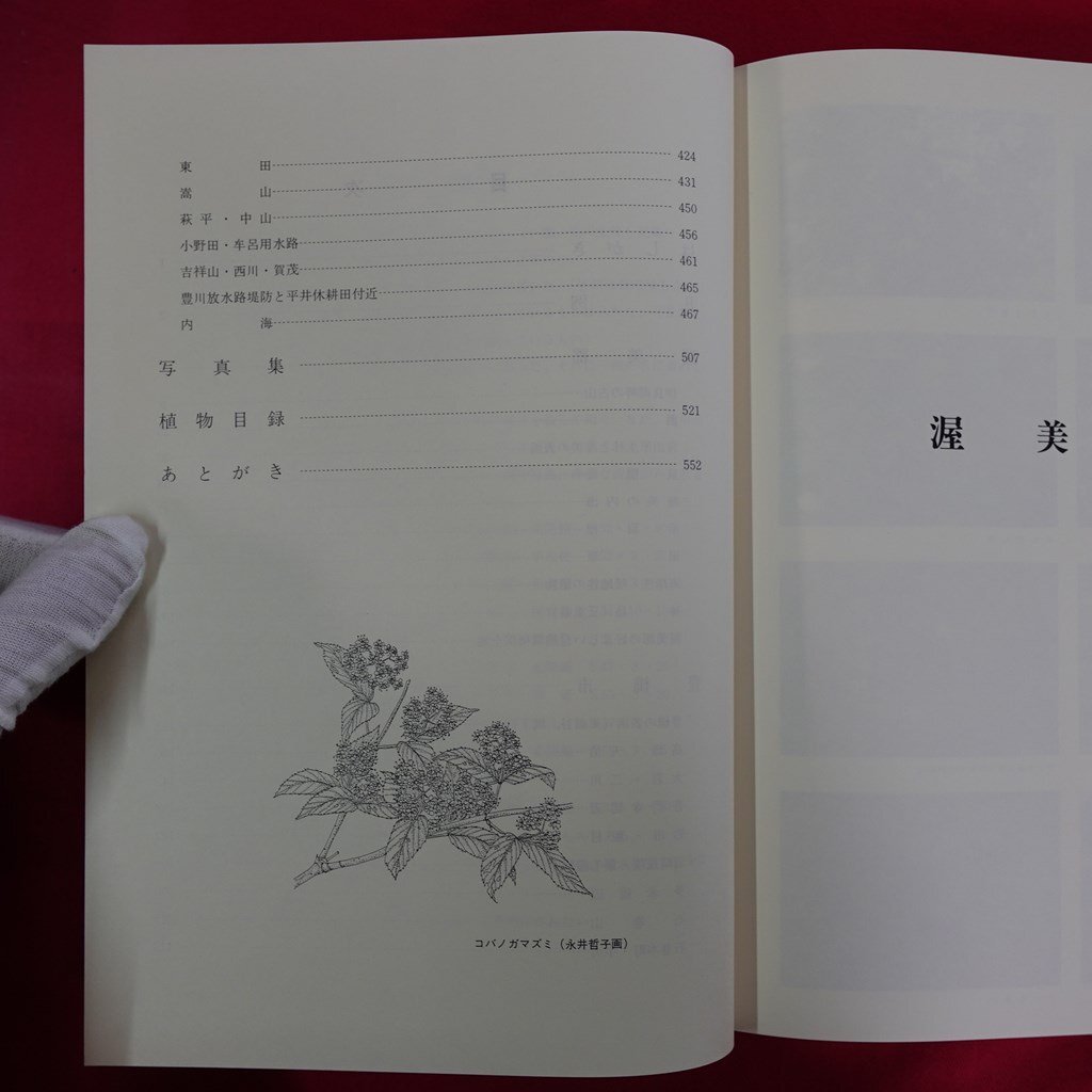 item_image_6