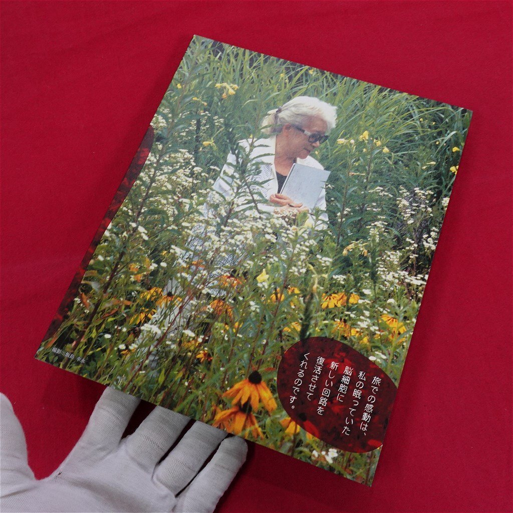 z68/図録【生誕100年 堀文子展-旅人の記憶/奥田元宋・小由女 z68/図録【生誕100年 堀文子展-旅人の記憶/奥田元宋・小由女