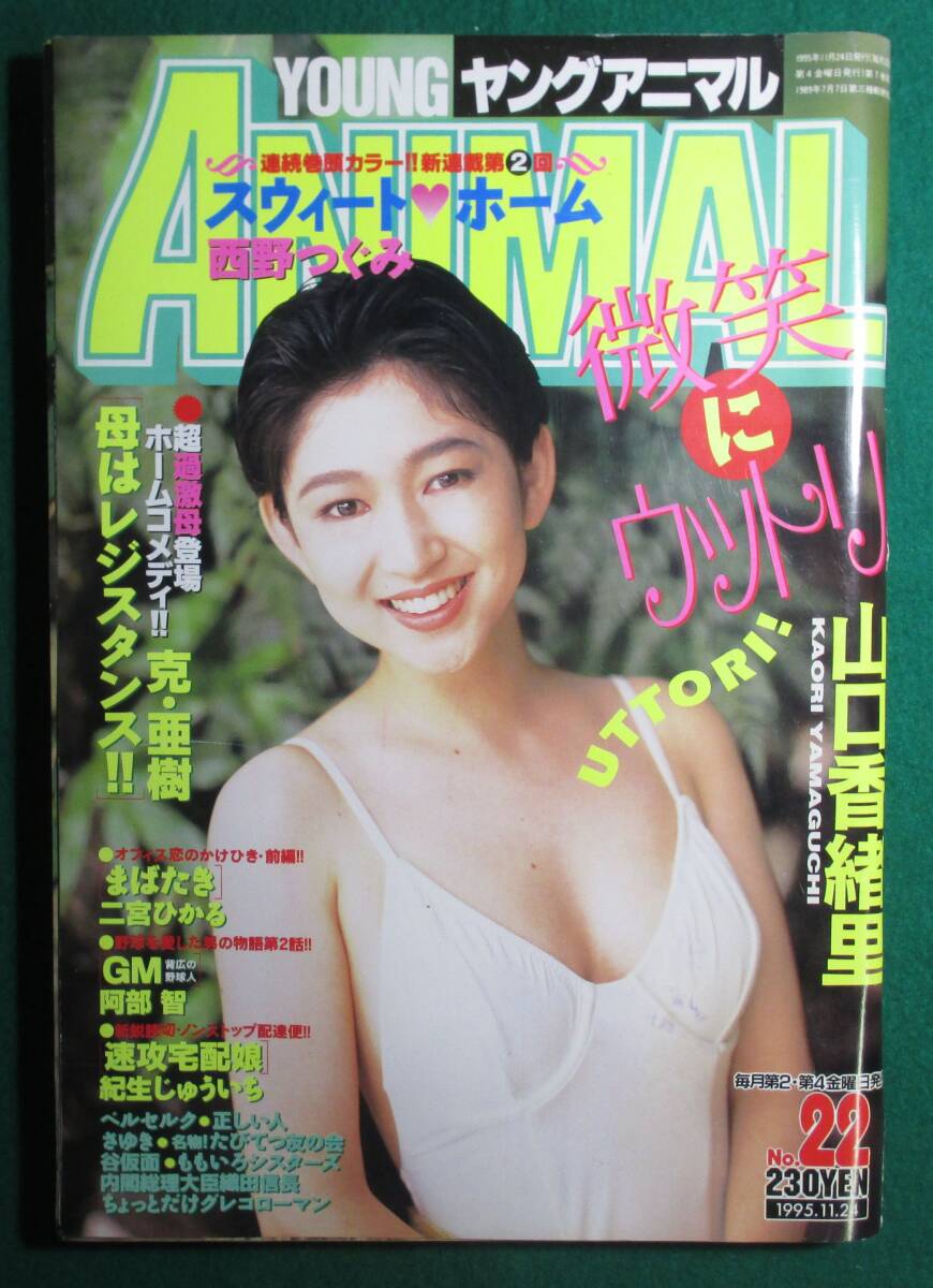 希少】週刊 ヤングアニマル 1995年 11月24日 山口香緒里 希少】週刊 ヤングアニマル 1995年 11月24日 山口香緒里