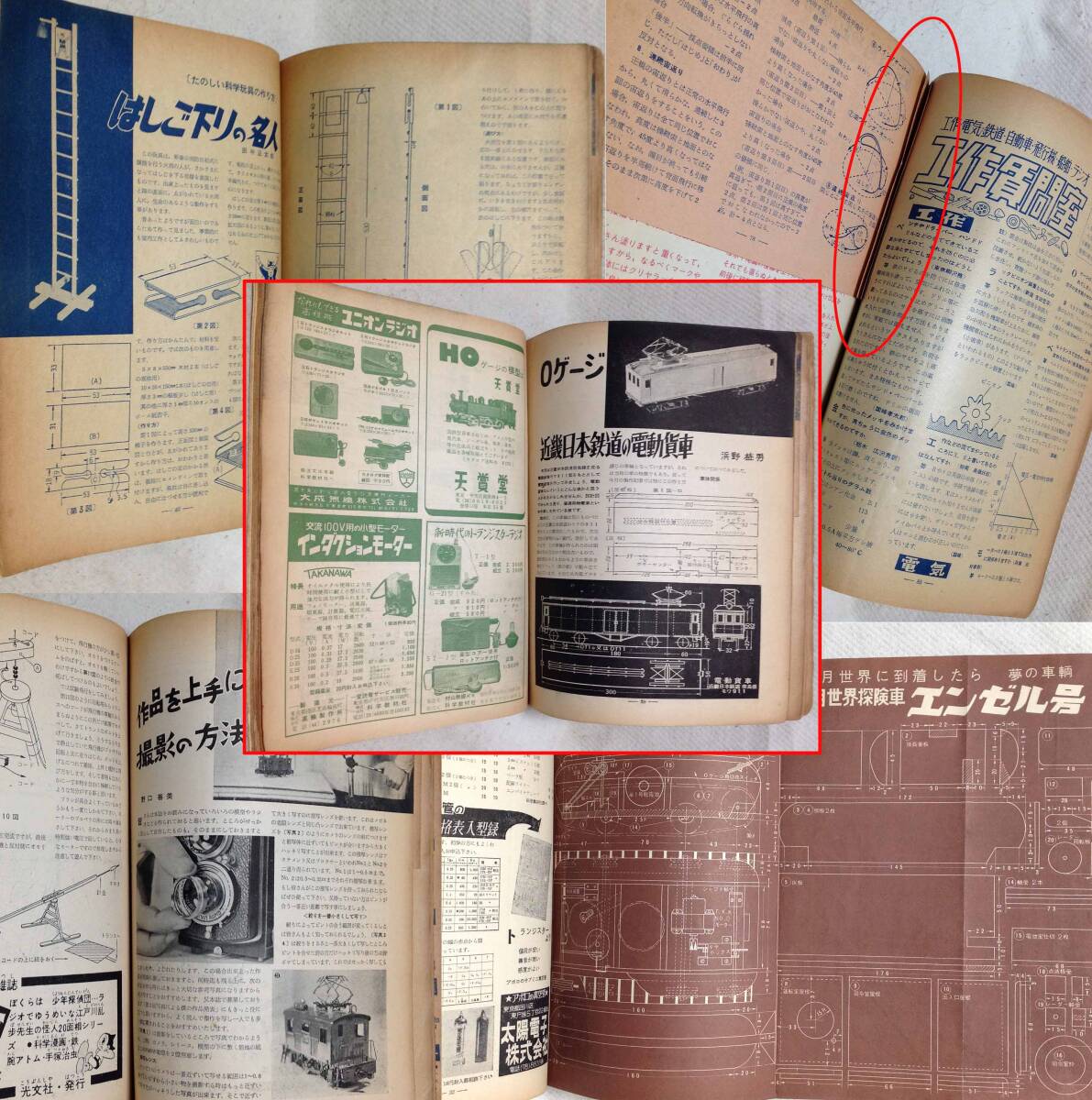 赤丸部のピンク頁79~82が切取られています