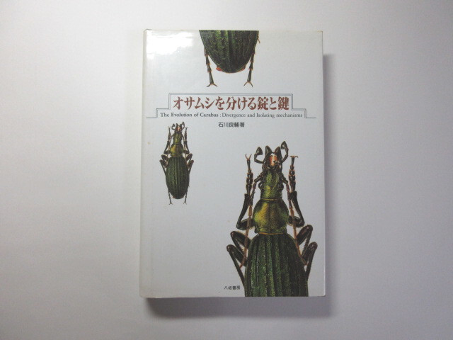 オサムシを分ける錠と鍵／石川良輔＊送料無料