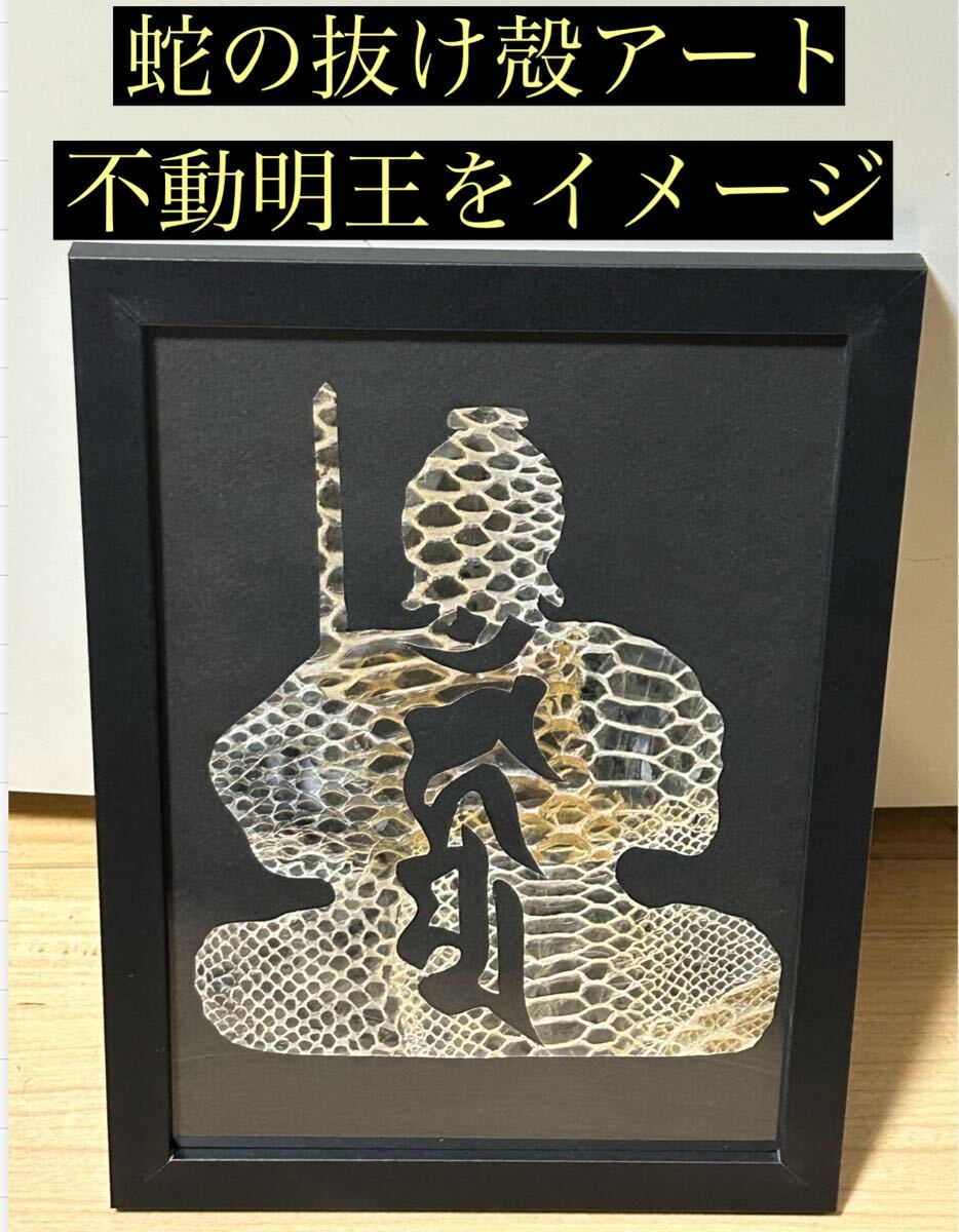蛇の抜け殻アート 不動明王 蛇の抜け殻 開運 魔除け 金運 家内安全 魔除け