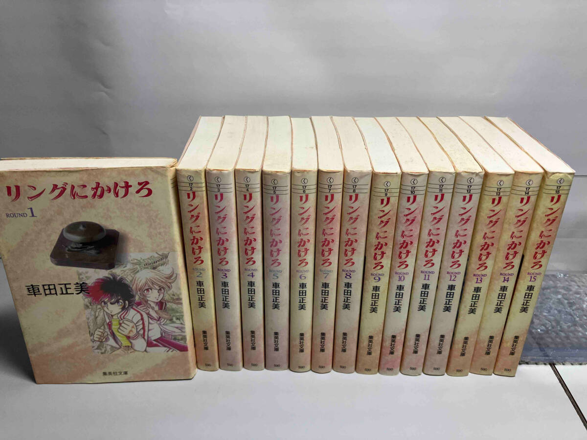 リングにかけろ 文庫版 全15巻完結セット