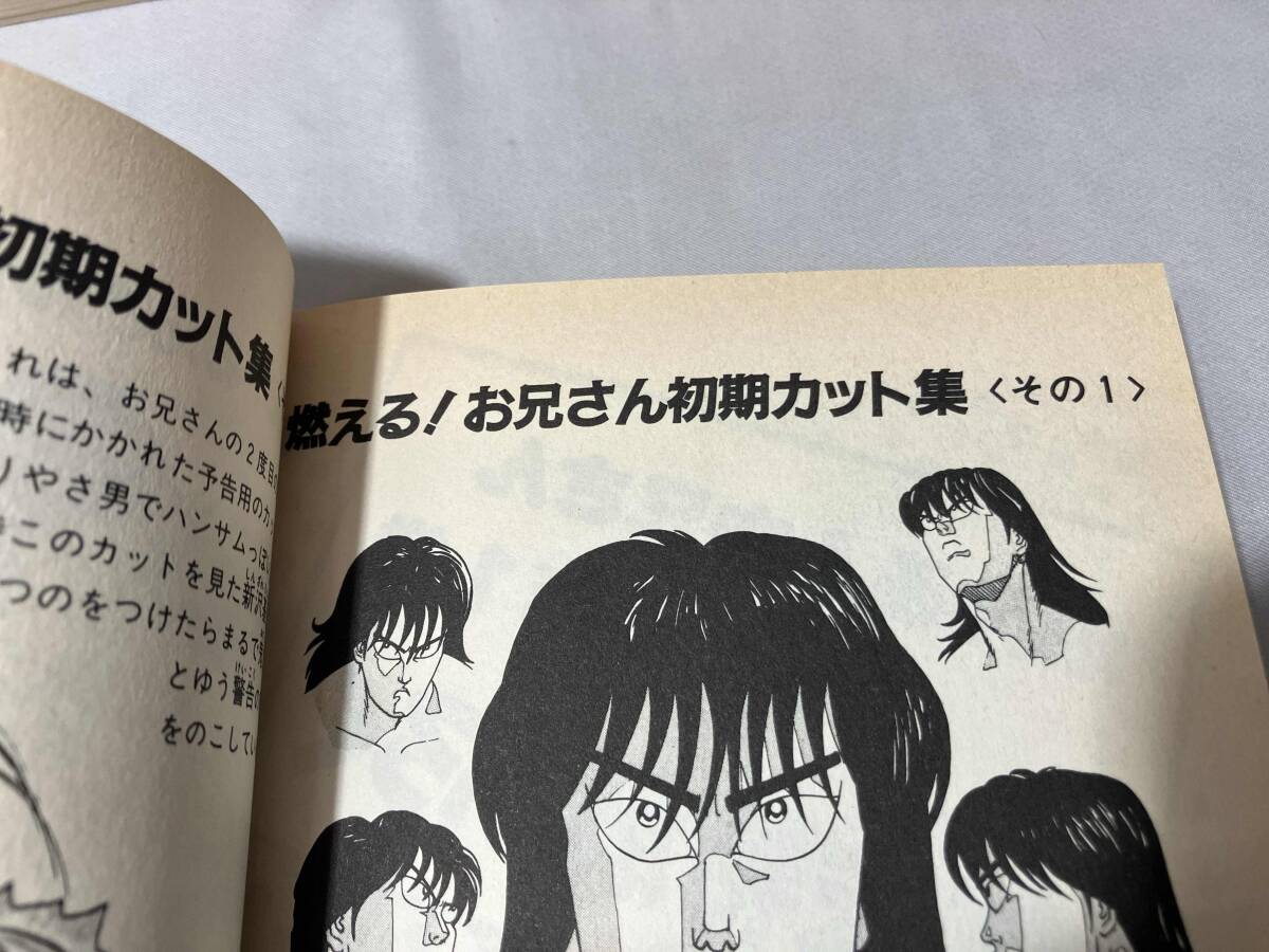 燃える!お兄さん 佐藤正 全19巻完結セット+1冊 合計20冊セット 燃える!お兄さん 佐藤正 全19巻完結セット+1冊 合計20冊セット