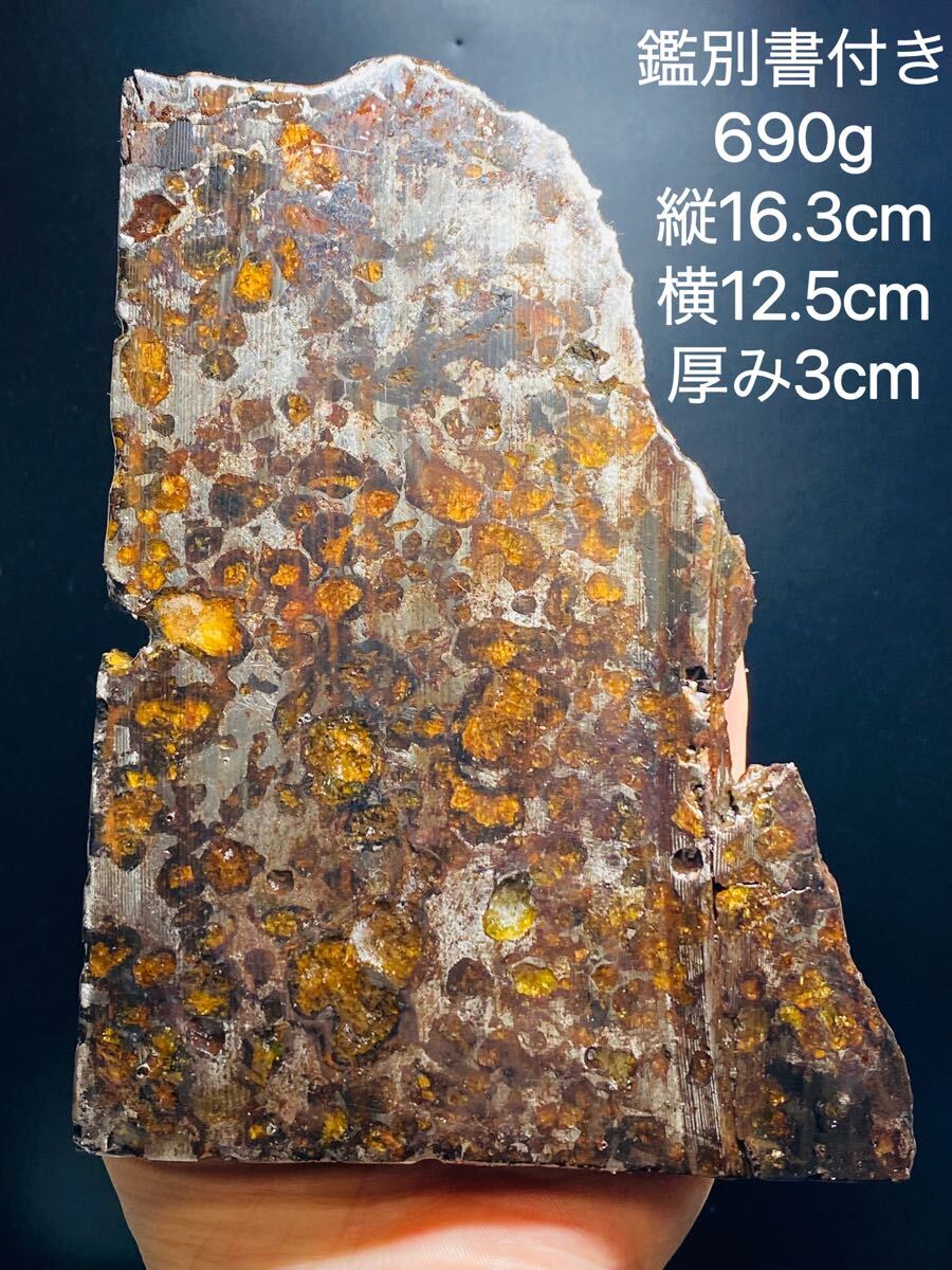 鑑別書付き』パラサイト隕石 690g 隕石 石鉄隕石 163㍉ コーティング