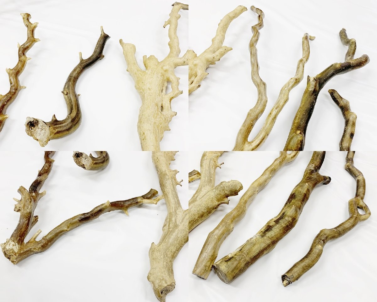 珊瑚 原木 黒珊瑚 白珊瑚 深海松 サンゴ 枝 最長 約130cm 総重量 珊瑚 原木 黒珊瑚 白珊瑚 深海松 サンゴ 枝 最長 約130cm 総重量