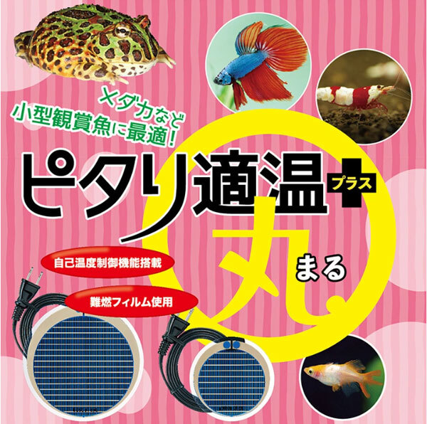 rep Japan pitali. температура плюс круг * большой 