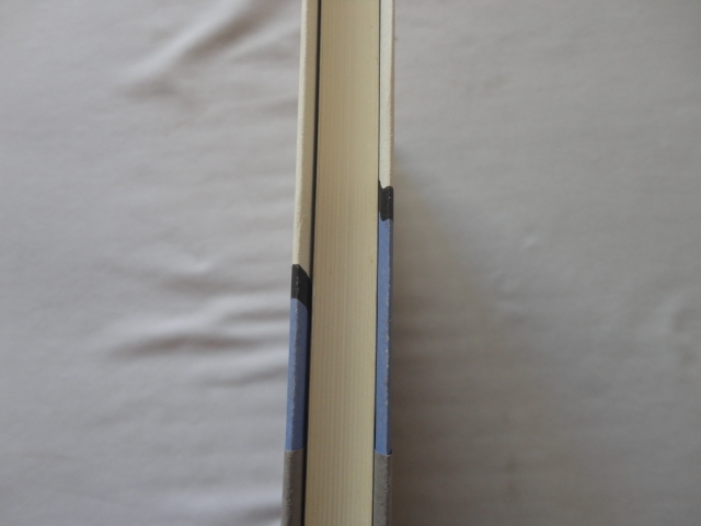 『除け者の栄光』ドミニック・フェルナンデス　平成元年　初版カバー帯　新潮社_画像6