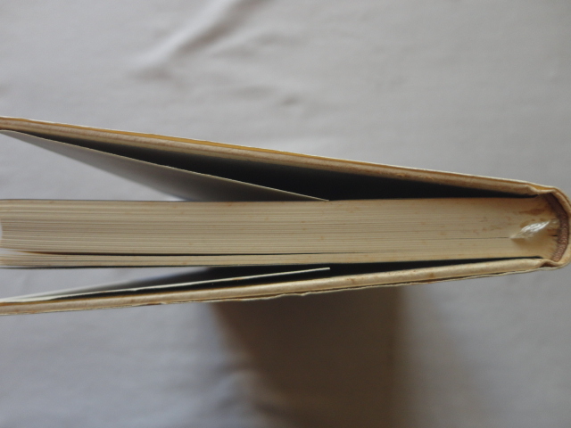 『除け者の栄光』ドミニック・フェルナンデス　平成元年　初版カバー帯　新潮社_画像7