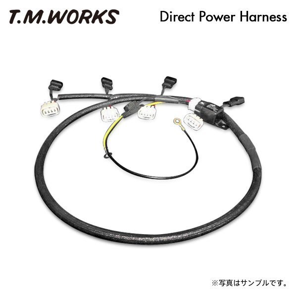 T.M.WORKS ダイレクトパワーハーネスキット カローラフィールダー ZZE122G ZZE124G 1ZZ-FE H12.8～ DP1001