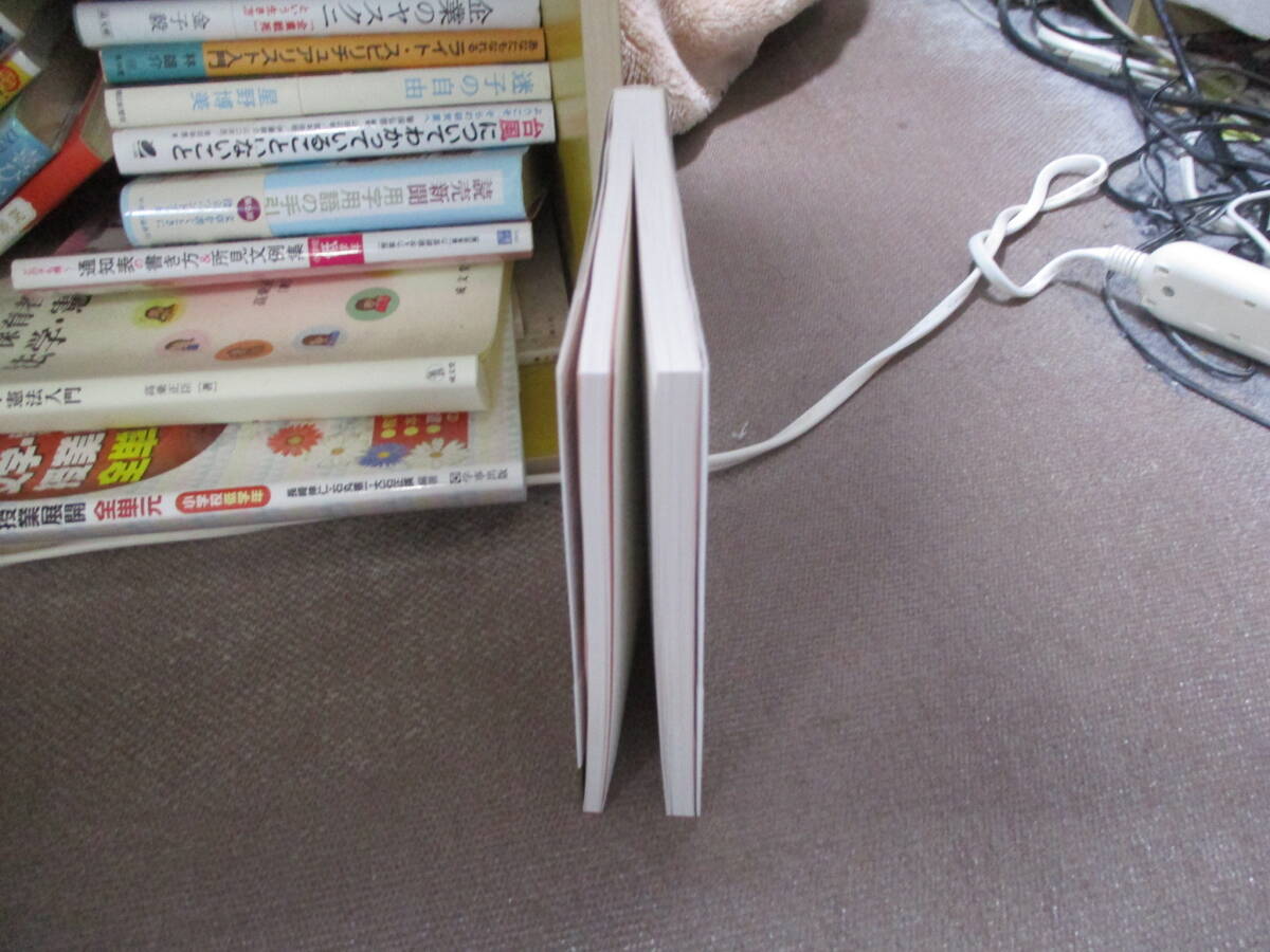 E すべてを叶える 仕事も家庭も子育ても 思いを形にするハッピーマインドの磨き方2020/10/9 新谷典子_画像2