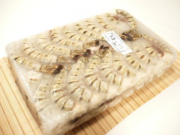 【Max】無頭ブラックタイガー　業(yè)務(wù)用13/15サイズ １級品