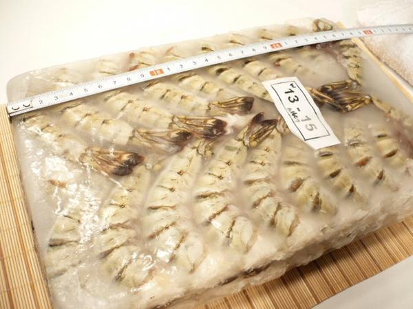 【Max】無頭ブラックタイガー　業(yè)務(wù)用13/15サイズ １級品