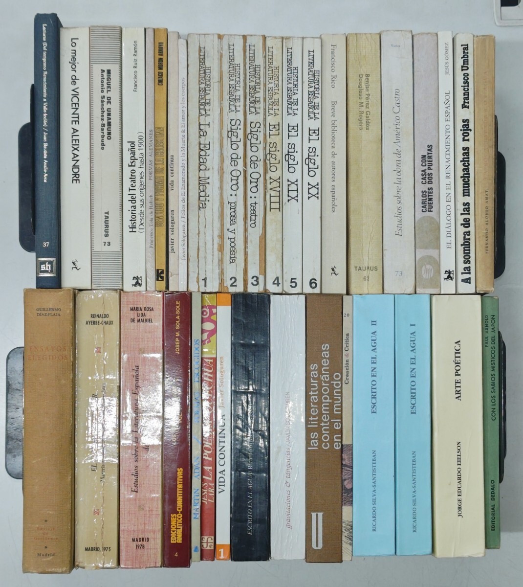r0113-10.ラテンアメリカ文学 洋書まとめ/スペイン語書籍/小説/詩集/戯曲/文芸評論/批評/スペイン文学史/ビセンテ・アレイクサンドレ