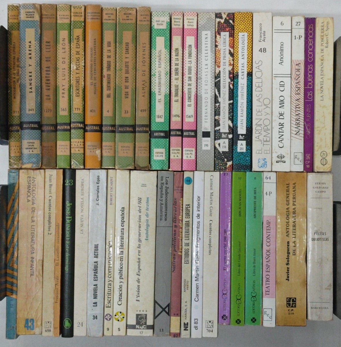 r0113-9.ラテンアメリカ文学 洋書まとめ/スペイン語書籍/小説/詩集/戯曲/散文/物語/文芸評論/批評/ホセ・ドノソ/フェルナンド・デ・ロハス