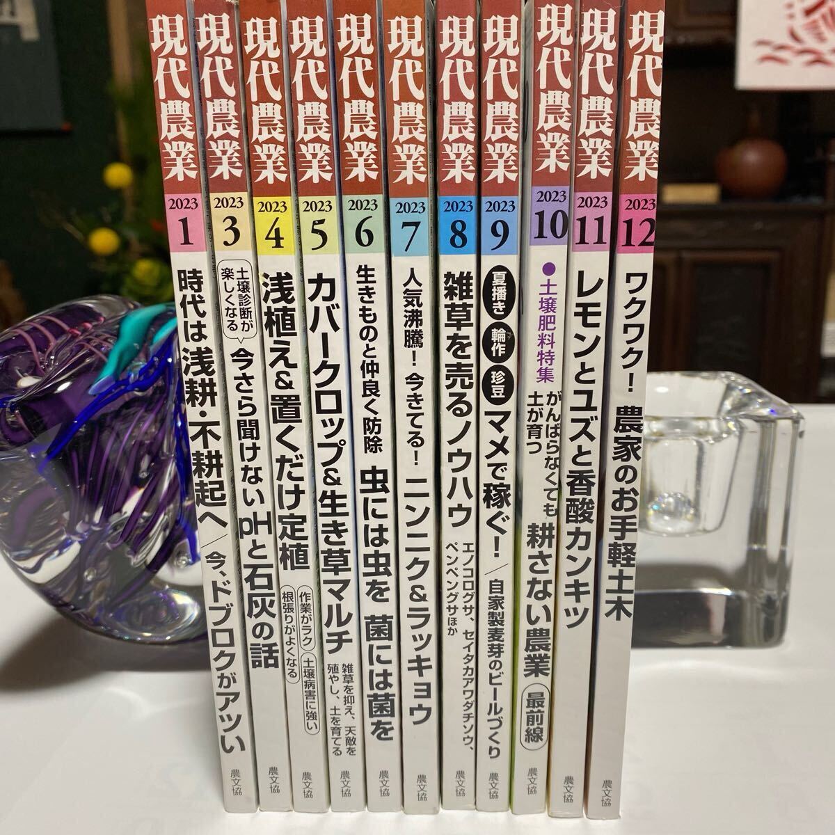 現代農業 2023年 1月号 3月号〜12月号 11冊 (2月号 欠品) 農文協