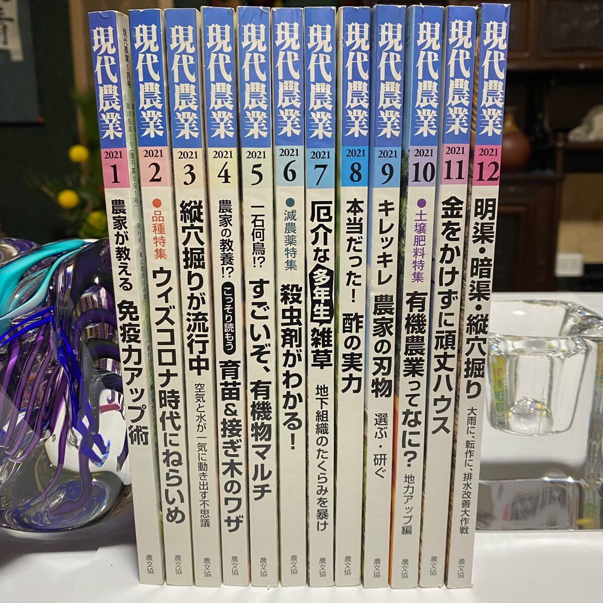 現代農業 2021年 1月号〜12月号 計12冊 農文協