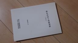 都市災害の情報問題ーその1ー