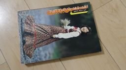 ニューフォークベストヒット　レコードコピーによる