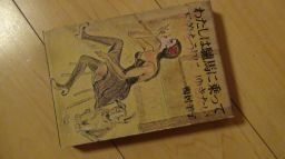 私は驢馬に乗って下着を売りにゆきたい