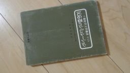 反応器のシミュレーション(ソ連化学工学選書)