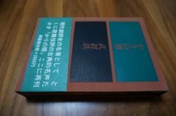 かりの翅
