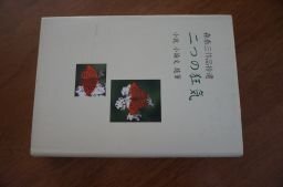 二つの狂気―森泰三作品拾遺小説小論文随筆