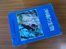 沖縄の生物 生態写真集