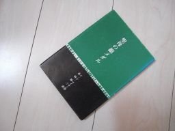 聖母の銀メダル