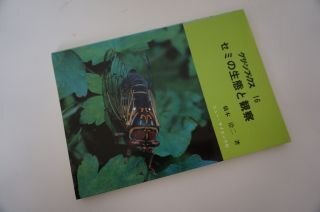 セミの生態と観察 (グリーンブックス 16)
