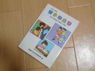 青少年白書　青少年問題の現状と対策 (平成3年版)