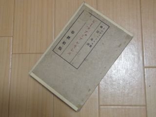 ピ－タアとアレキシス