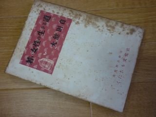 若い女性の生きる道