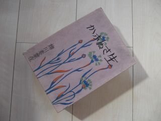 生さぬなか　柳川春葉