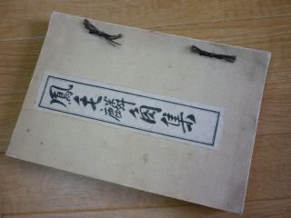 鳳毛麟角集