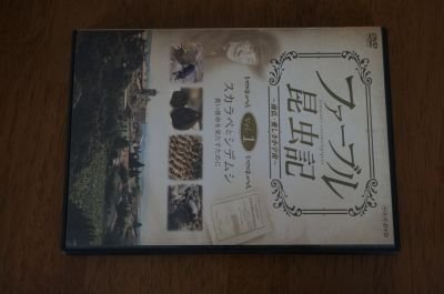 ファーブル昆虫記 スカラベとシデムシ 貴い使命を果たすために [DVD]
