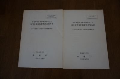 有害物質漁業影響調査のうち河川形態変化影響調査報告書(アマゴ漁場における河川改修影響調査)　平成元年・平成2年　2冊