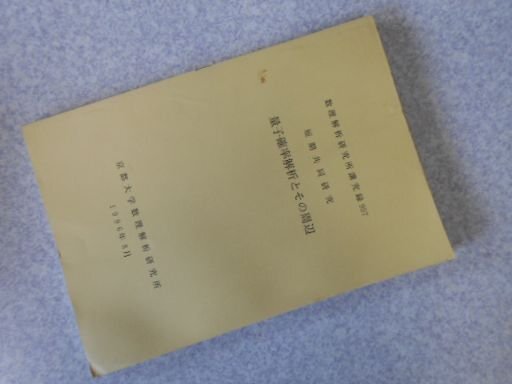 量子確率解析とその周辺　数理解析研究所講究録957