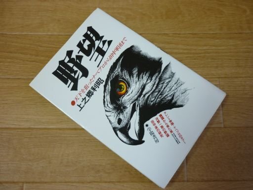 野望―天下を狙ったナベプロから田中軍団まで